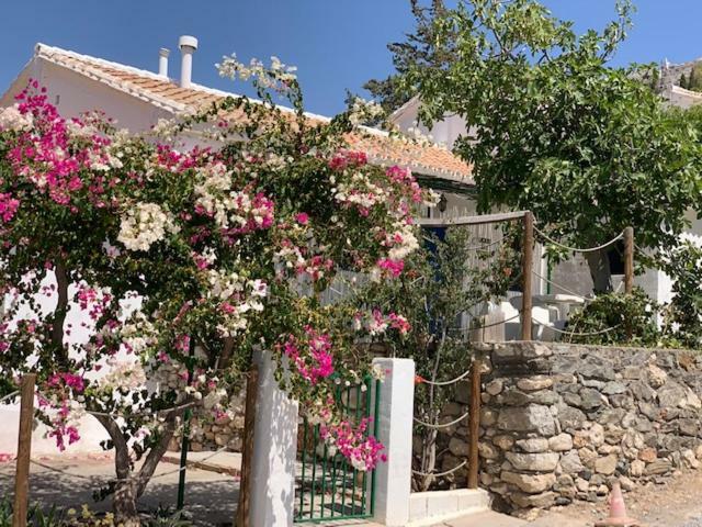 Casa Isabel - La Almona Chica Konuk evi El Chorro Dış mekan fotoğraf